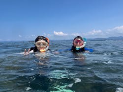 ミスオーシャンダイビングサービスに投稿された画像（2024/8/7）