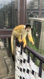 日立市かみね動物園に投稿された画像（2024/8/7）
