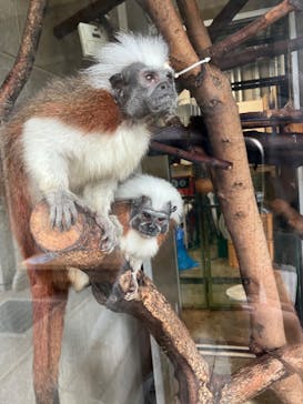 日立市かみね動物園に投稿された画像（2024/8/7）
