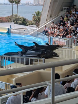 マリンワールド海の中道に投稿された画像（2024/8/7）