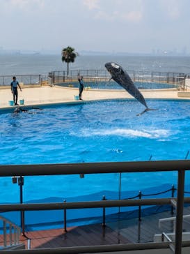 マリンワールド海の中道に投稿された画像（2024/8/7）