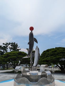 マリンワールド海の中道に投稿された画像（2024/8/7）