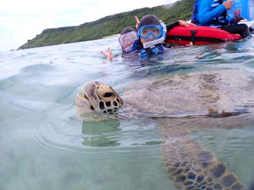 初心者専門宮古島シュノーケリングツアーに投稿された画像（2024/8/7）