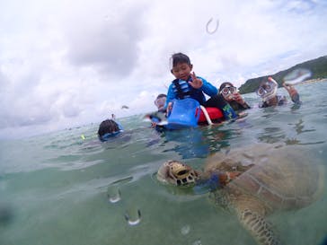 初心者専門宮古島シュノーケリングツアーに投稿された画像（2024/8/7）