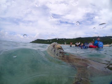 初心者専門宮古島シュノーケリングツアーに投稿された画像（2024/8/7）