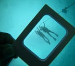 青の洞窟専門店　沖縄ダイビングショップ和に投稿された画像（2024/8/7）