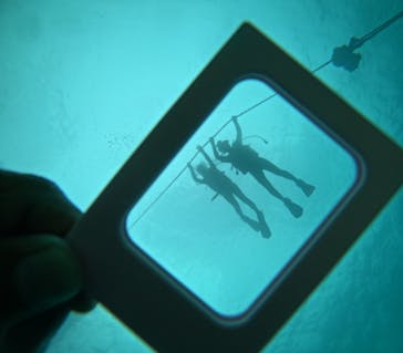 青の洞窟専門店　沖縄ダイビングショップ和に投稿された画像（2024/8/7）