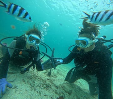 青の洞窟専門店　沖縄ダイビングショップ和に投稿された画像（2024/8/7）