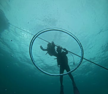 青の洞窟専門店　沖縄ダイビングショップ和に投稿された画像（2024/8/7）