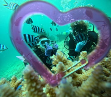 青の洞窟専門店　沖縄ダイビングショップ和に投稿された画像（2024/8/7）