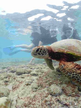 宮古島マリン GB QUESTに投稿された画像（2024/8/7）