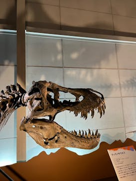 巨大恐竜展2024に投稿された画像（2024/8/7）