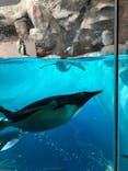 名古屋港水族館に投稿された画像（2024/8/7）