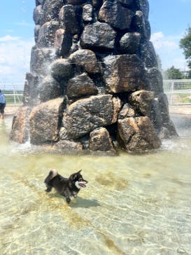 滋賀農業公園ブルーメの丘に投稿された画像（2024/8/7）