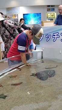 アクアワールド茨城県大洗水族館に投稿された画像（2024/8/7）