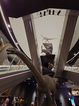 福井県立恐竜博物館に投稿された画像（2024/8/7）