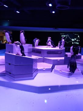 AOAO SAPPOROに投稿された画像（2024/8/7）