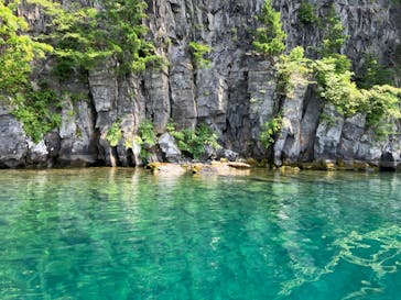 リブパイオニアに投稿された画像（2024/8/7）