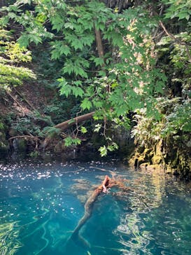 リブパイオニアに投稿された画像（2024/8/7）