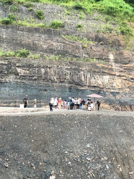 福井県立恐竜博物館に投稿された画像（2024/8/7）