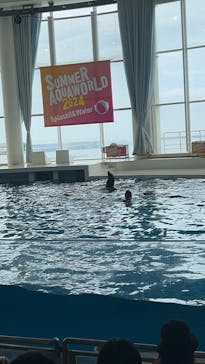 アクアワールド茨城県大洗水族館に投稿された画像（2024/8/7）