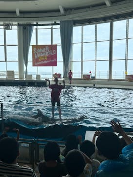 アクアワールド茨城県大洗水族館に投稿された画像（2024/8/7）