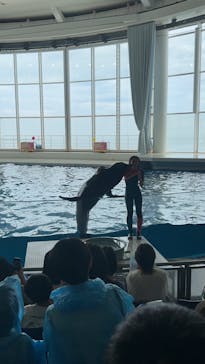アクアワールド茨城県大洗水族館に投稿された画像（2024/8/7）