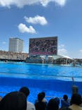 名古屋港水族館に投稿された画像（2024/8/7）