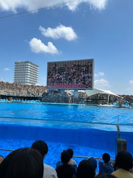 名古屋港水族館に投稿された画像（2024/8/7）