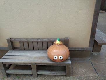 ニジゲンノモリに投稿された画像（2024/8/7）