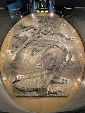 東北サファリパークに投稿された画像（2024/8/7）