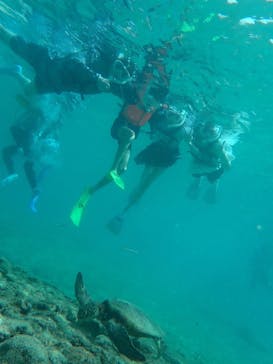 nico 宮古島に投稿された画像（2024/8/7）