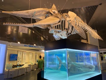 沖縄美ら海水族館に投稿された画像（2024/8/7）