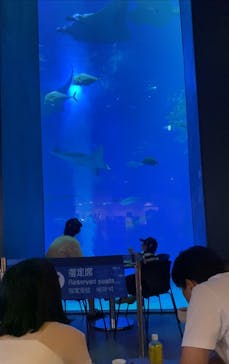 沖縄美ら海水族館に投稿された画像（2024/8/7）