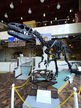 岐阜県博物館に投稿された画像（2024/8/7）