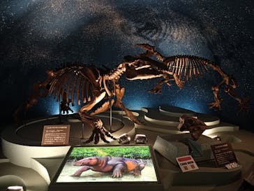 岐阜県博物館に投稿された画像（2024/8/7）