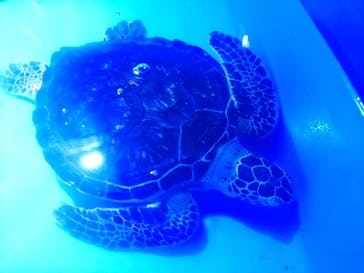 夢みなとタワーに投稿された画像（2024/8/7）