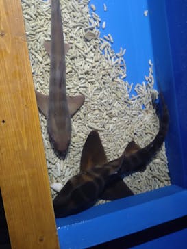 夢みなとタワーに投稿された画像（2024/8/7）