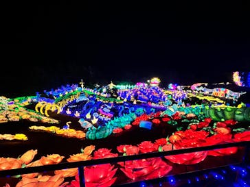 伊豆ぐらんぱる公園に投稿された画像（2024/8/7）