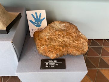 岐阜県博物館に投稿された画像（2024/8/7）