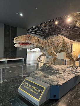 福井県立恐竜博物館に投稿された画像（2024/8/7）