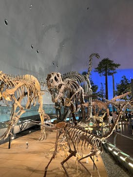 福井県立恐竜博物館に投稿された画像（2024/8/7）