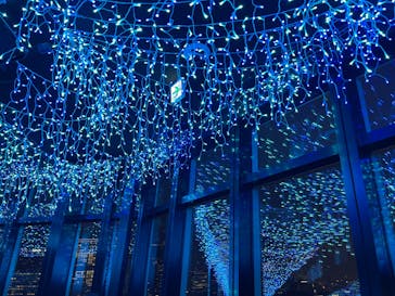 東京タワーに投稿された画像（2024/8/7）