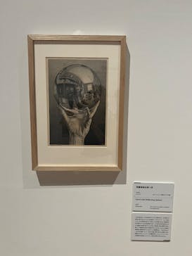 豊田市美術館に投稿された画像（2024/8/7）