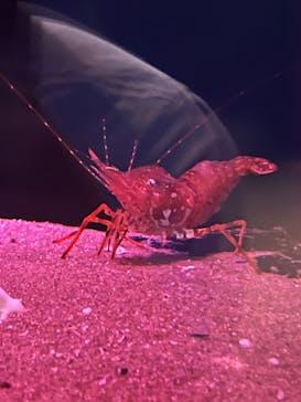 名古屋港水族館に投稿された画像（2024/8/7）