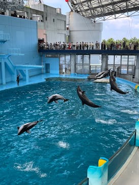 横浜・八景島シーパラダイスに投稿された画像（2024/8/7）