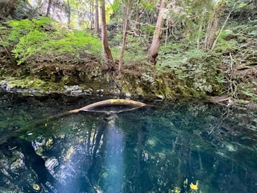 グリランド株式会社に投稿された画像（2024/8/7）