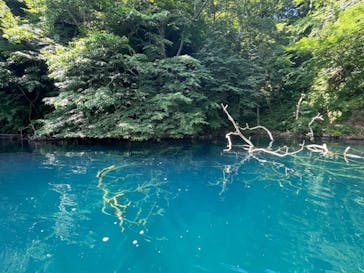 グリランド株式会社に投稿された画像（2024/8/7）