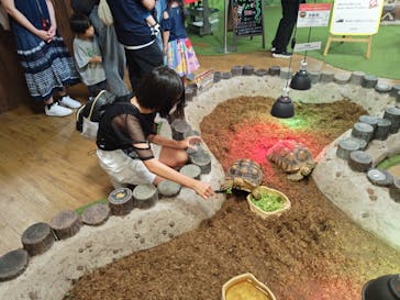 NARA IKIMONO MUSEUMに投稿された画像（2024/8/7）