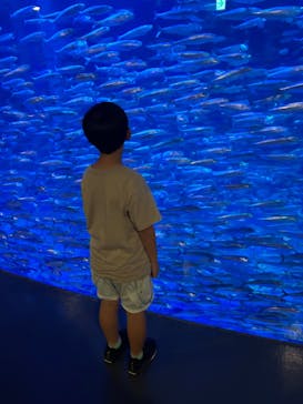 登別マリンパークニクスに投稿された画像（2024/8/7）